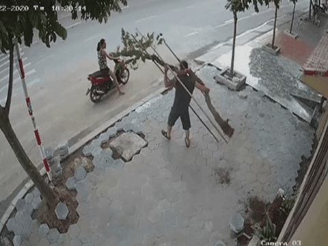 Vừa tậu được cây hoa giấy 7 tuổi về trồng, vào nhà uống cốc trà khoe với vợ thì bị cặp vợ chồng song kiếm hợp bích xách mất