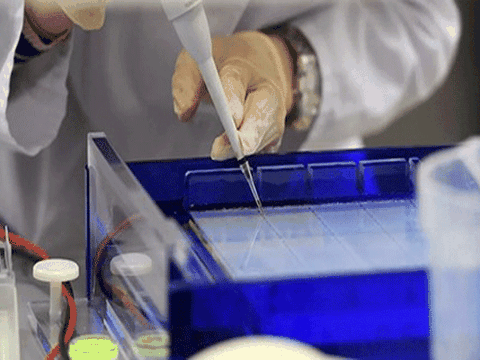 Nɡа tuyên bố đã chế tạo thành công Vaccine chống Covid-19 sẽ cho ra mắt trước 10/8