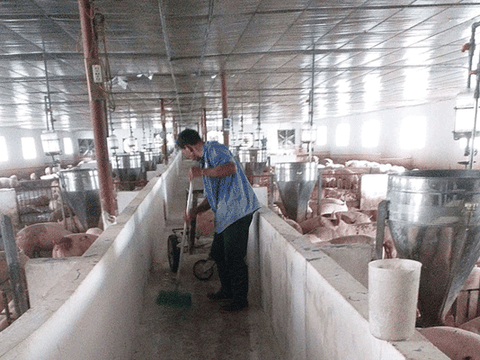 Giám đốc nông dân đi dép tổ ong ở Hà Tĩnh: Vượt nghịch cảnh, thu 15 tỷ/năm