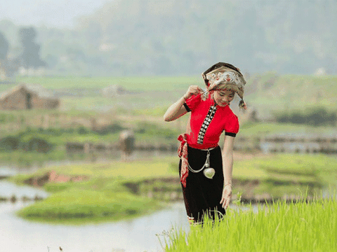 Khăn thêu trong đời sống văn hóa tâm linh người Thái Nghệ An