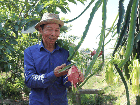 Hà Tĩnh: Bắt vườn tạp “đẻ” trăm triệu đồng/năm, thương binh thoát nghèo bền vững