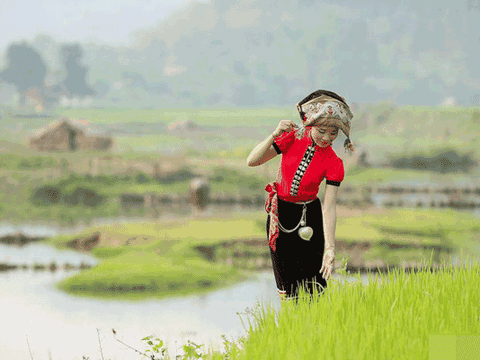 Khăn thêu trong đời sống văn hóa tâm linh người Thái Nghệ An