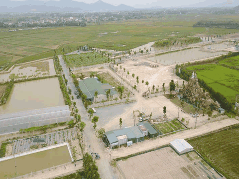 Dự án cá rô phi Israel công nghệ cao mọc lên khu sinh thái tại Nghệ An: Chủ đầu tư và các bên liên quan nói gì?