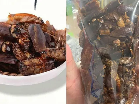Món “gián sấy khô” đang làm mưa, làm gió trên thị trường: Nhìn thì thích thú nhưng không dám ăn