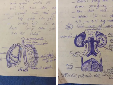 Tò mò xem mẹ học môn Sinh thời xưa thế nào, nữ sinh trầm trồ vì quyển vở toàn tranh vẽ tay giống sách giáo khoa từng chi tiết