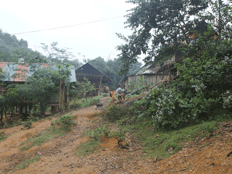 Nghệ An: Bắt nghi phạm sát hại hai mẹ con khiến một người chết, một người bị thương nặng