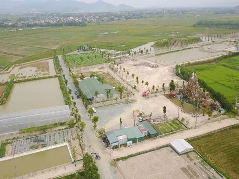 Dự án nuôi cá rô phi Isreal công nghệ cao tại Nghệ An thực hiện sai quy hoạch?