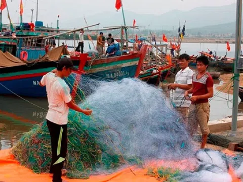 Nghệ An: Sẽ tiến hành thanh tra, kiểm tra, kiểm soát nghề cá