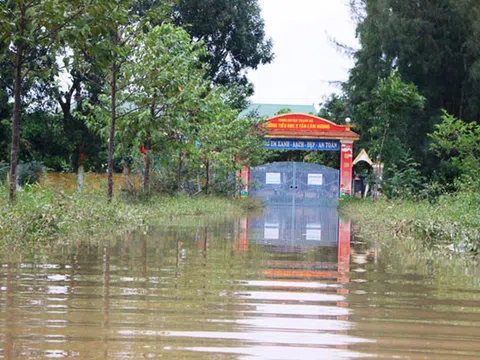 Trường học Hà Tĩnh mênh mông nước, giáo viên tranh thủ tham gia cứu trợ