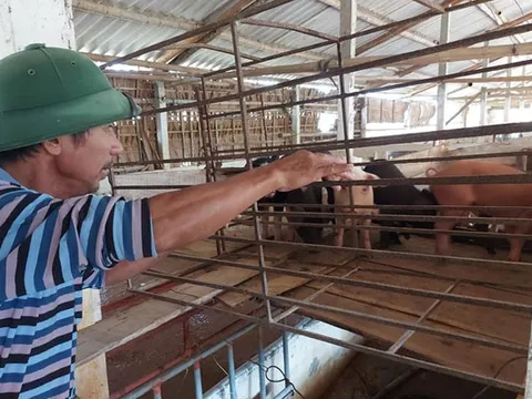 Hà Tĩnh: Huyện Cẩm Xuyên thiệt hại nặng nề sau trận lũ lịch sử