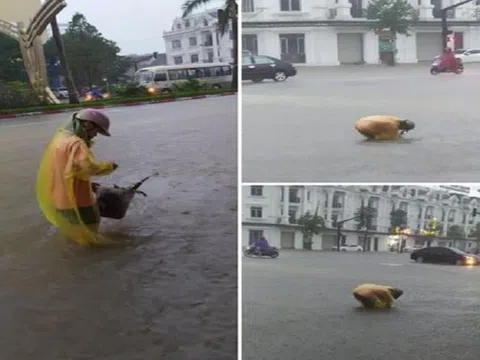 Giữa thành Vinh ngập sâu, cô gái moi rác thông cống khiến dân mạng cảm kích