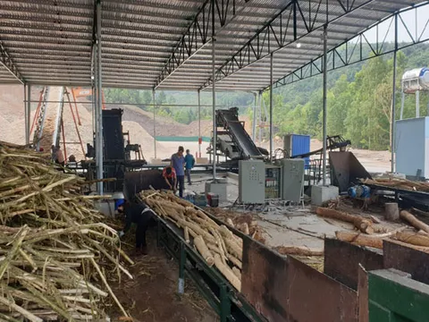 Nghệ An: Sản xuất dăm gỗ dưới chiêu bài chạy thử máy.