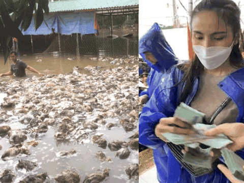 Nam thanh niên Thanh Chương mất trắng vì trại gà ngập lũ được Thủy Tiên - Công Vinh hỗ trợ 115 triệu đồng