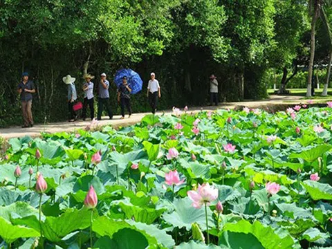 Khu Di Tích Kim Liên – Điểm đến cho Du khách