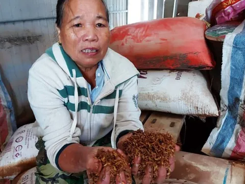 Lũ lụt lịch sử, Hà Tĩnh thiệt hại gần 5.500 tỉ đồng