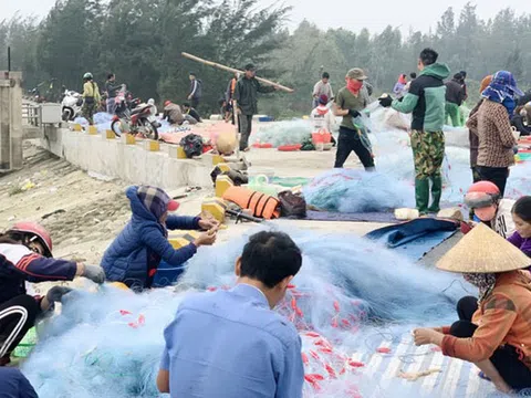 Ngư dân Hà Tĩnh hồ hởi ra khơi vớt "lộc trời" sau bão lũ