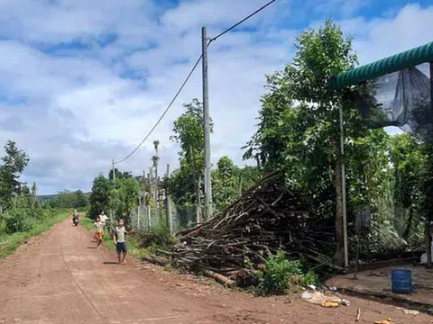 Dân "chết thèm" vì dây điện chạy trên đầu nhưng… không có điện!