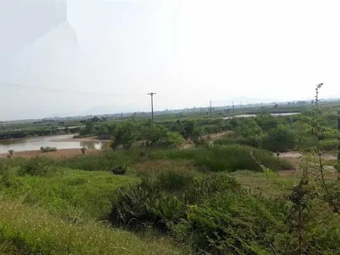 Nghệ An: Dự án nhà ở 10 năm vẫn "đắp chiếu" vì vướng mặt bằng