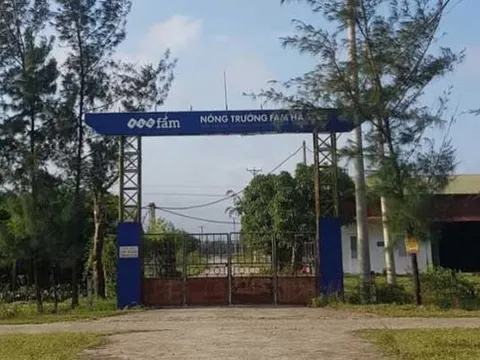 Hà Tĩnh: Đìu hiu dự án nông nghiệp công nghệ cao 300 tỷ của FLC