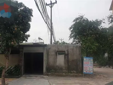 Nghệ An: Đường điện "mọc" trên đất của dân, chính quyền và điện lực thờ ơ xử lý