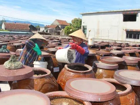 Hà Tĩnh: Nữ giám đốc HTX gắn với ngành nghề chế biến thủy hải sản và thương hiệu nước mắm đạt tiêu chuẩn 3 sao