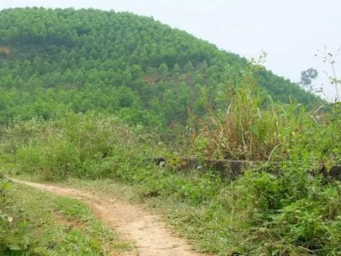 Gia đình người đàn ông bị cắt “của quý” trên đồi cao su khốn đốn vì tin đồn ở làng xóm