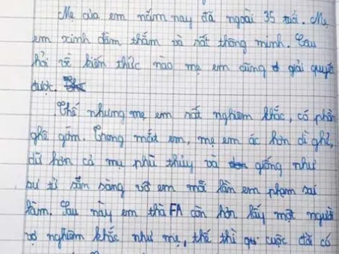 Tả mẹ "ác hơn dì ghẻ, dữ hơn cả phù thủy", bé trai lớp 4 ở Nghệ An "quyết FA chứ không lấy vợ nghiêm khắc như mẹ"